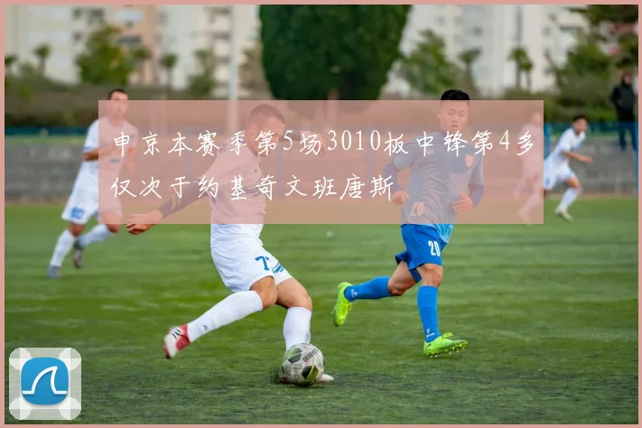 申京本赛季第5场3010板中锋第4多仅次于约基奇文班唐斯